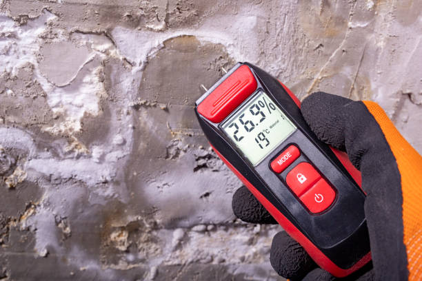 Best Water Damage Restoration  in Colon, MI