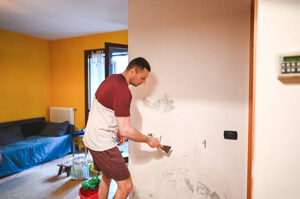 Best Mold Testing  in Colon, MI